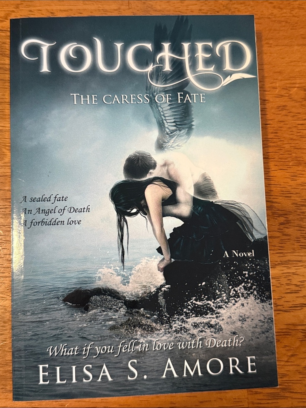 Touched: The Caress of Fate by Elisa S. Amore - Blue Cover Novel